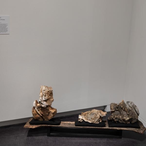 Installation image of exhibition