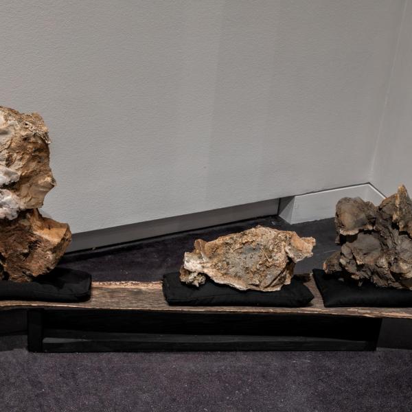 Installation image of exhibition