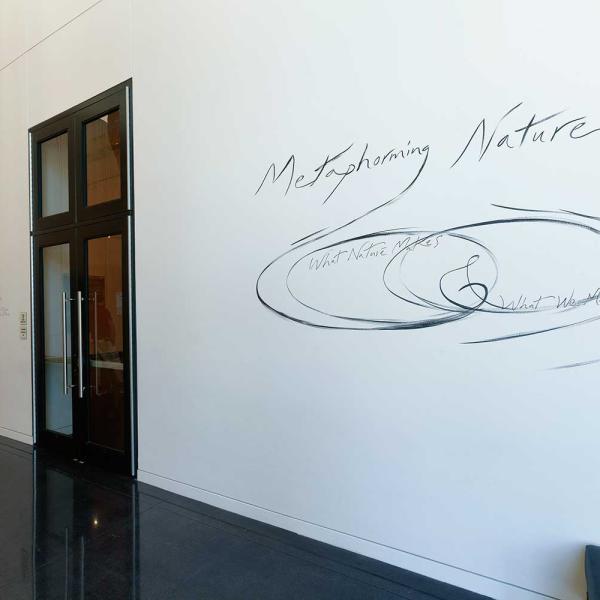 Title wall for the exhibition is hand drawn on the wall.