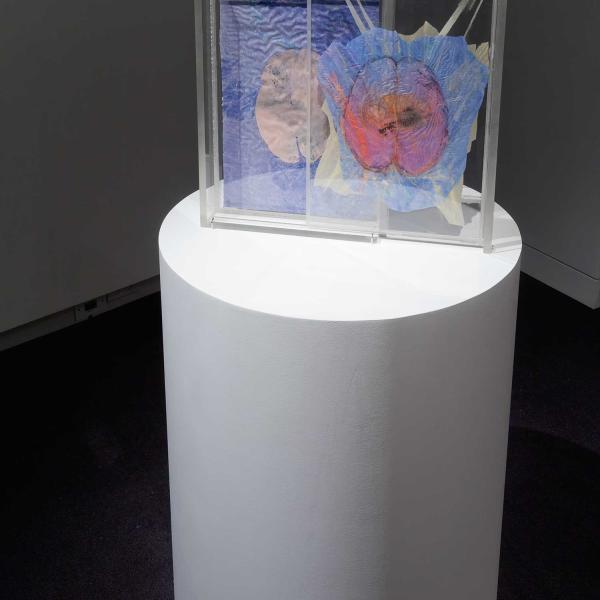 a cylindrical pedestal holding a plexiglass objects with blue and red tones.
