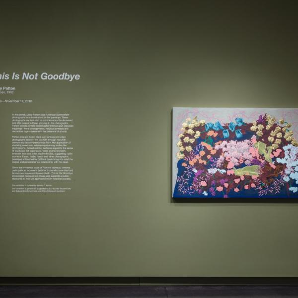 Installation view