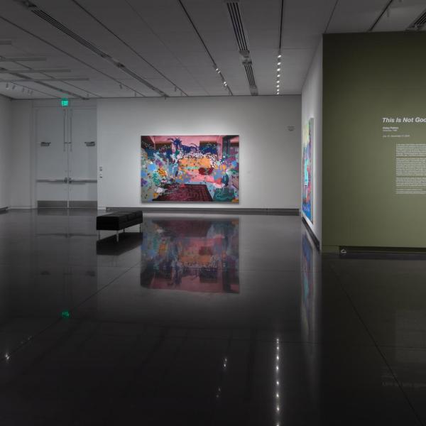 Installation view