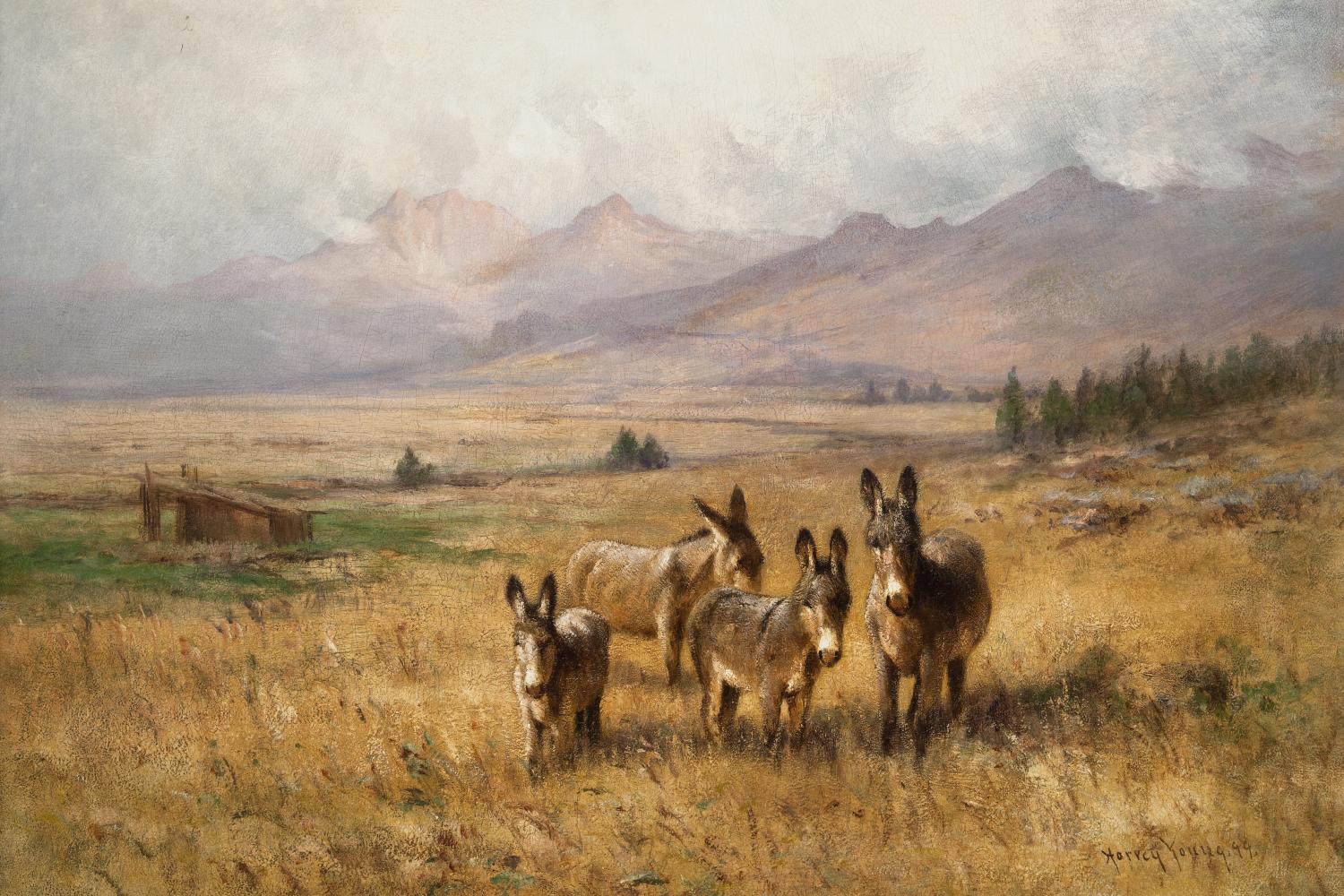 A painting of a small herd of donkeys gathered in yellow grass with purple mountains in the distance behind them.