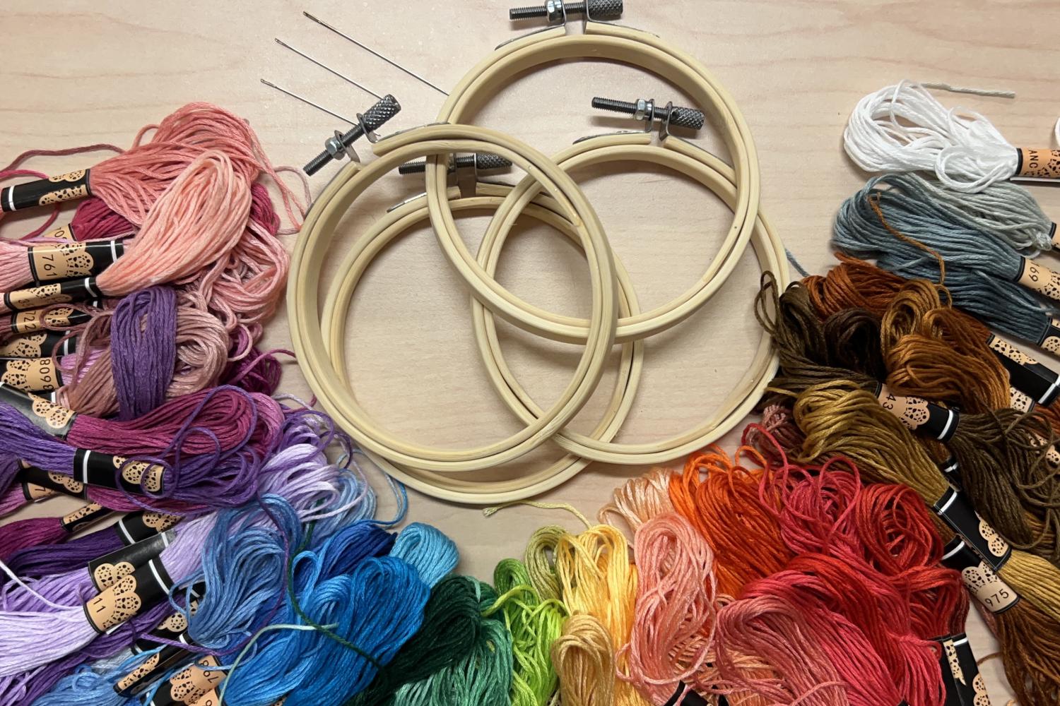 Embroidery hoops with needles and a rainbow of embroidery floss.