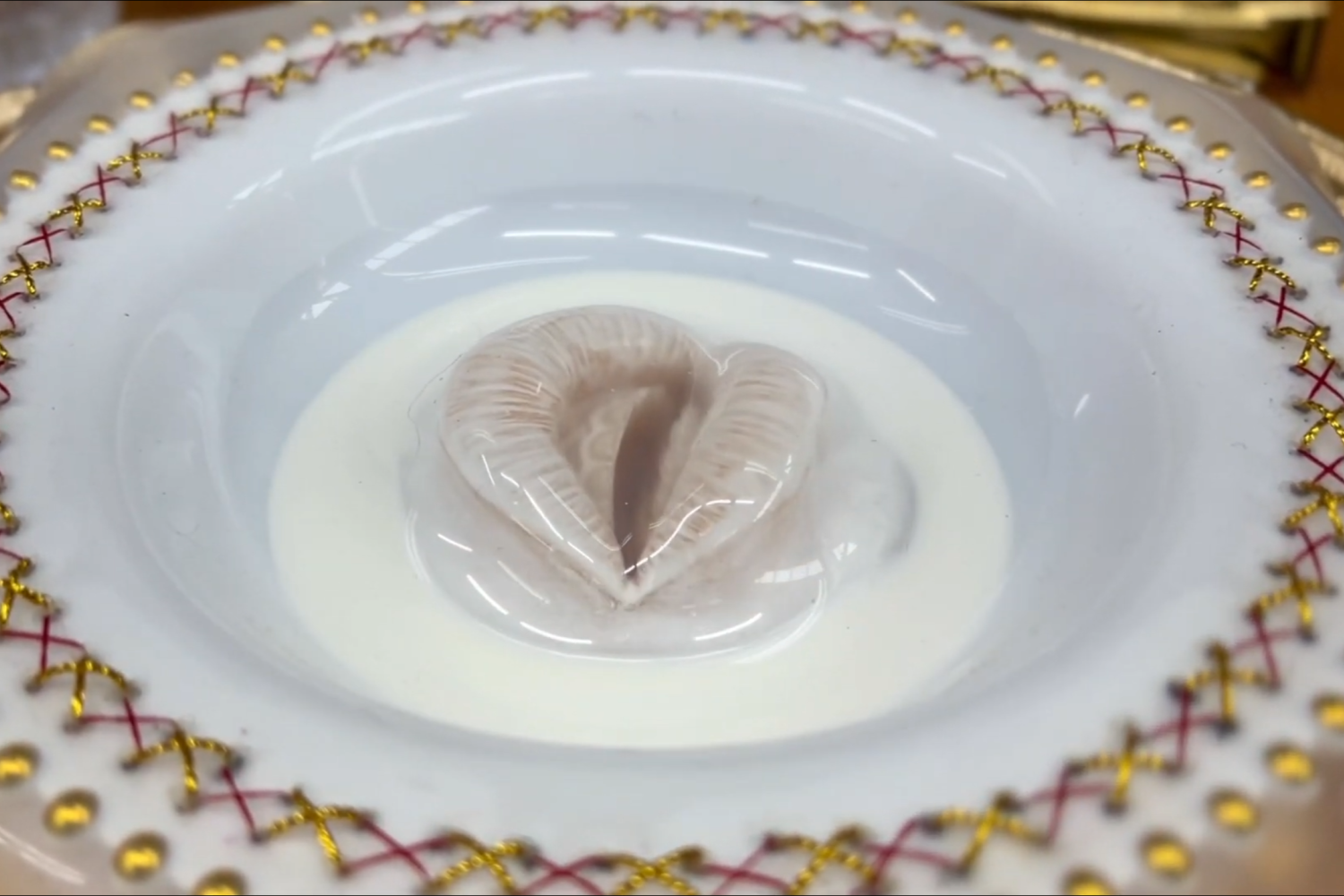 A close up image of a white bowl with a thin, transparent covering stitched across it. In the center of the bowl is a pale, white, open mouth.