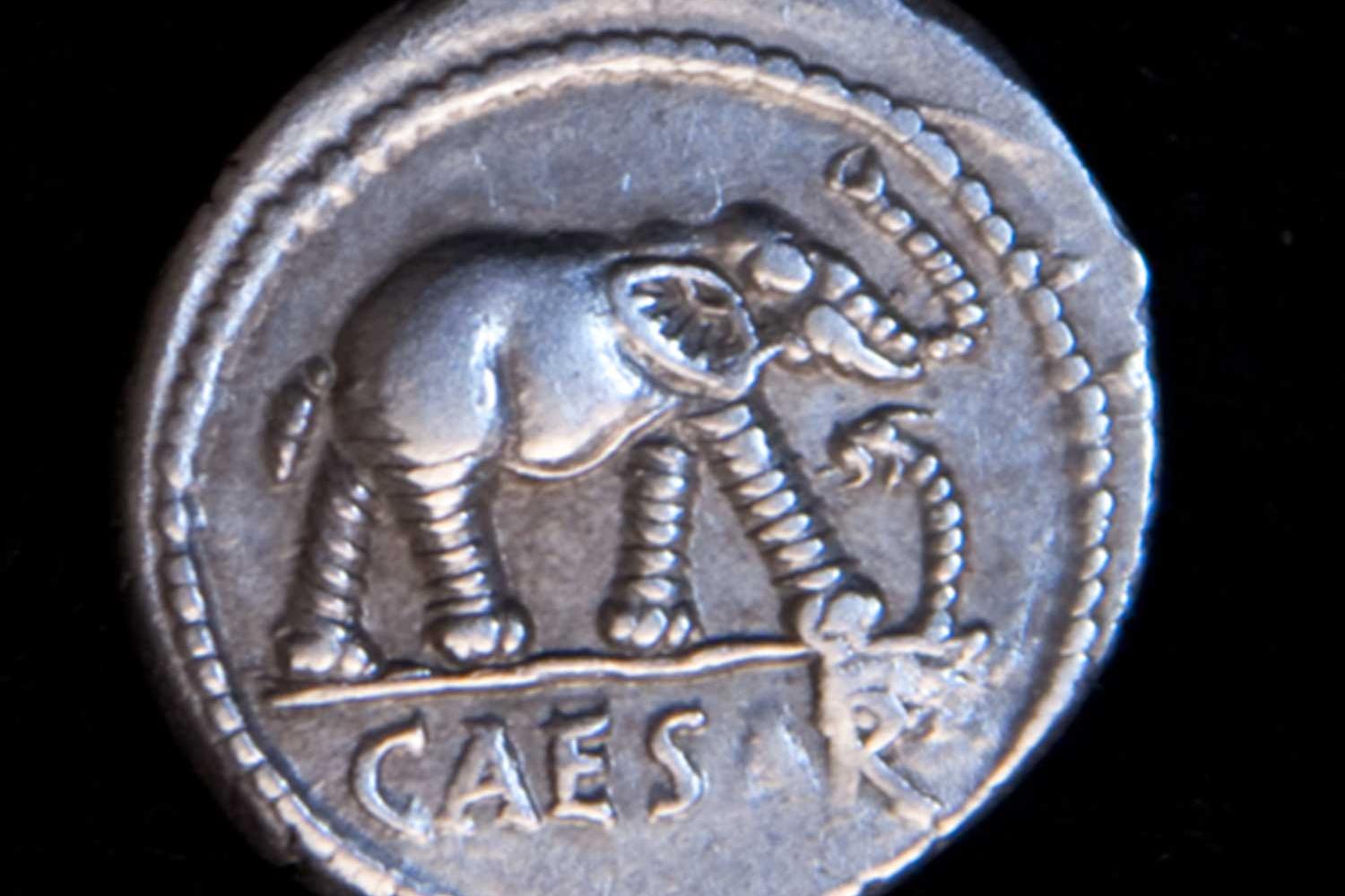 Detail of a silver coin with an elephant stamped on it with the word Caesar underneath