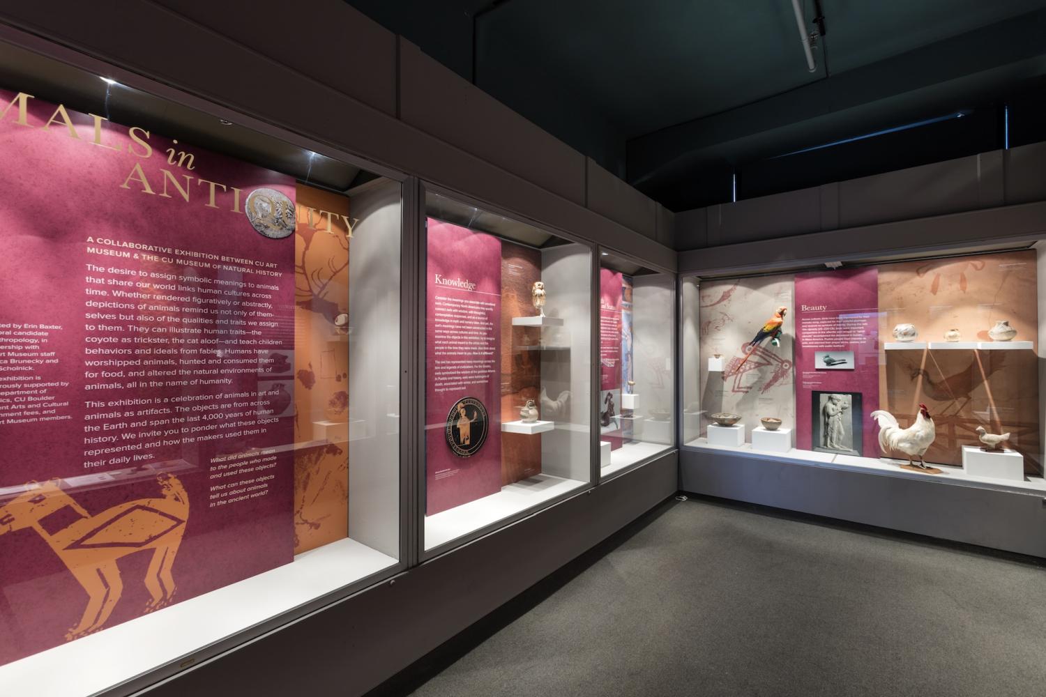 photo of exhibition installation