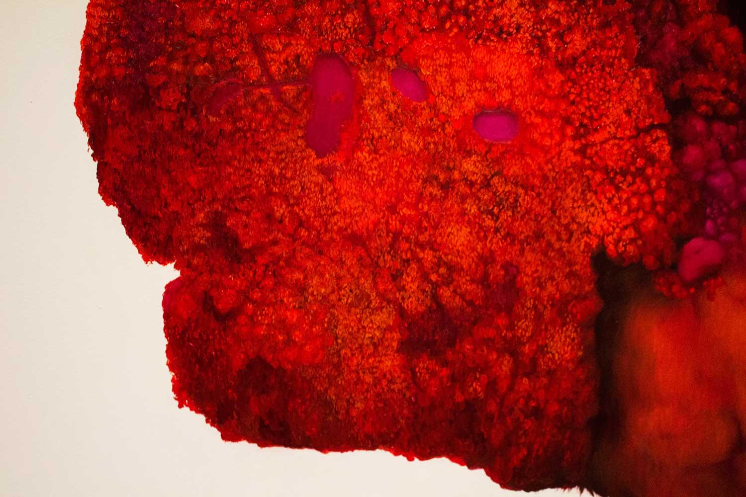 detail of a red abstract drawing