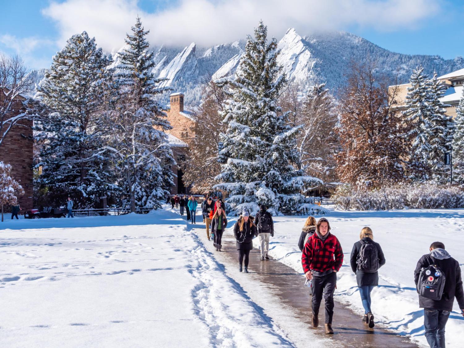 snowy day walking faculty fellows