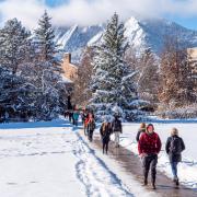 faculty fellows snowy day walking