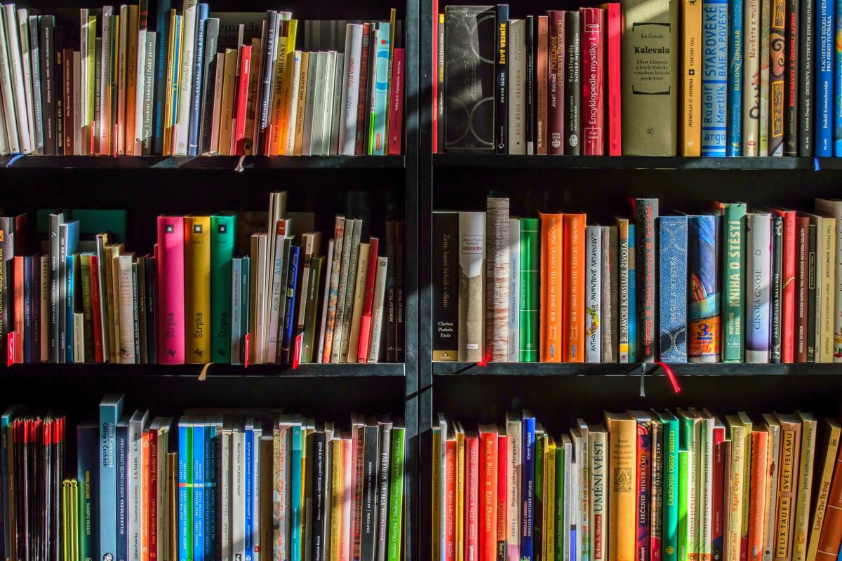 A shelf of colorful books.