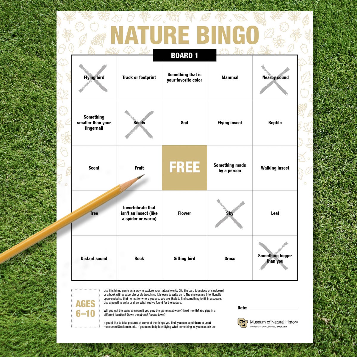 bingo board