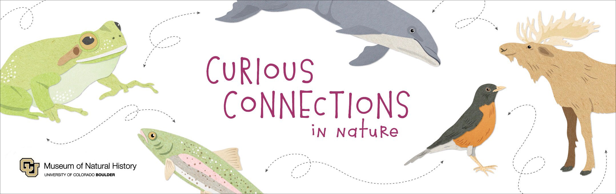 Curious Connections in Nature