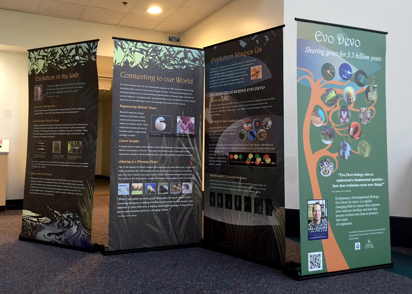 exhibit panels