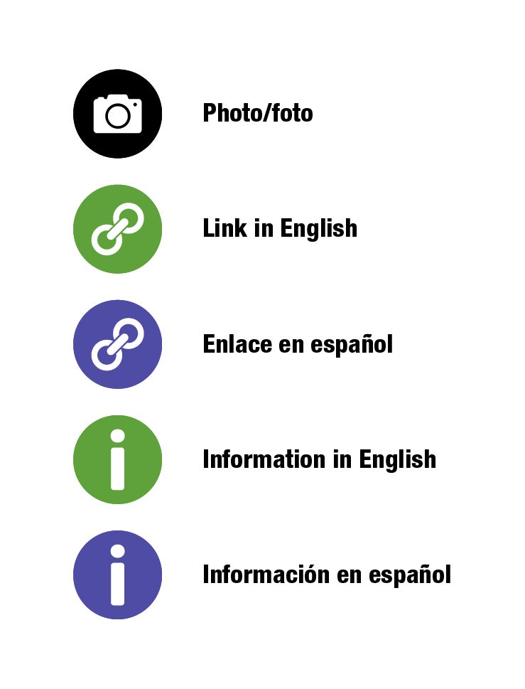 Black camera = camera, green link = english, purple link = Spanish, green I = English, purple I = spanish