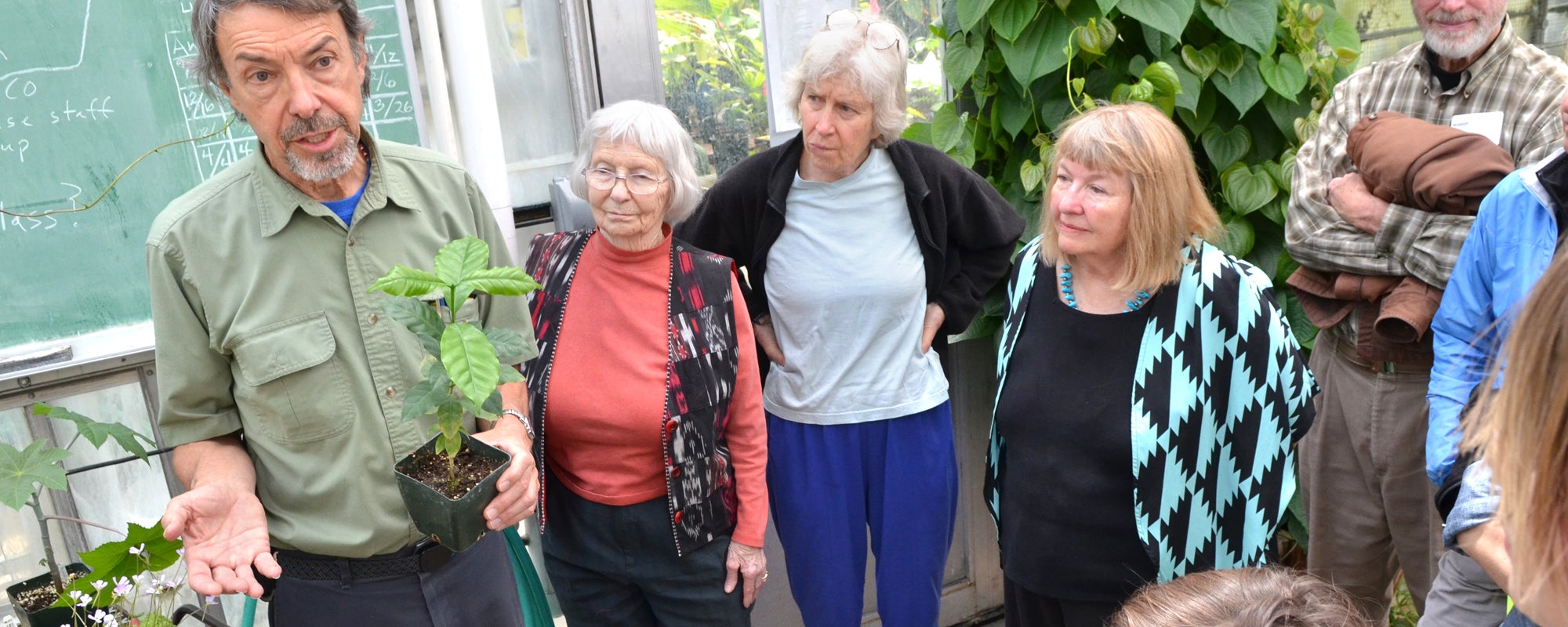 adults at CU greenhouse