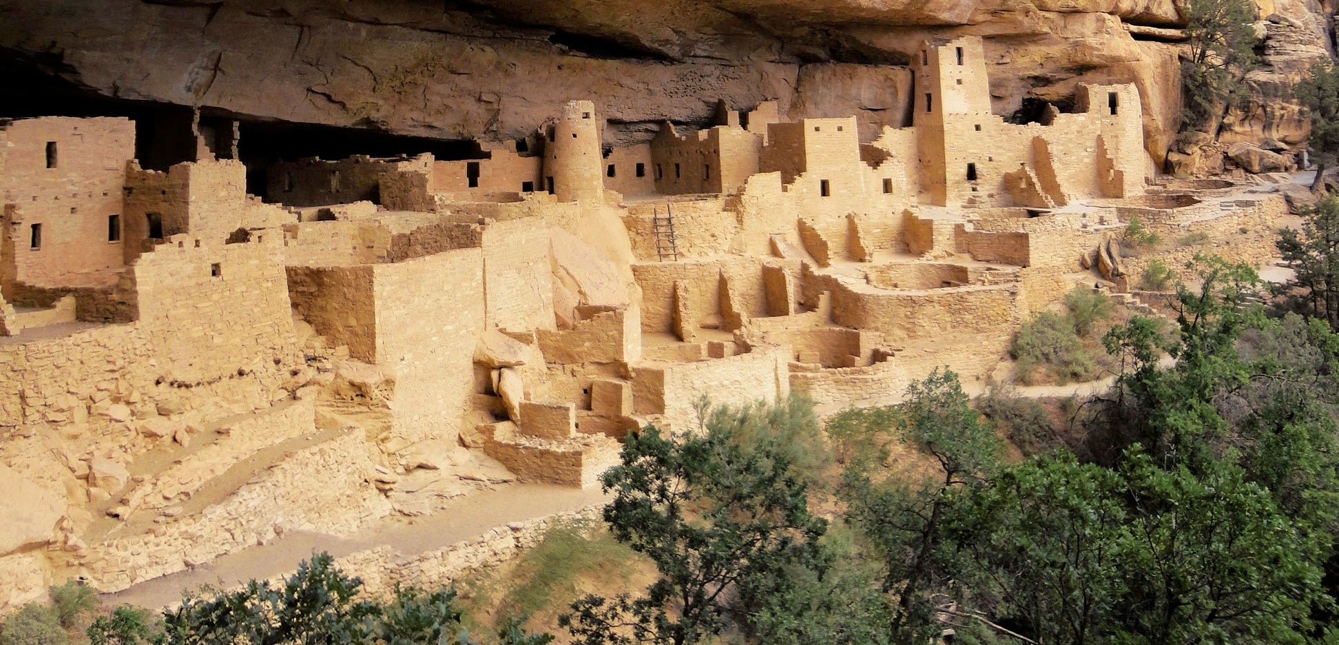 Cliff dwellings with trees