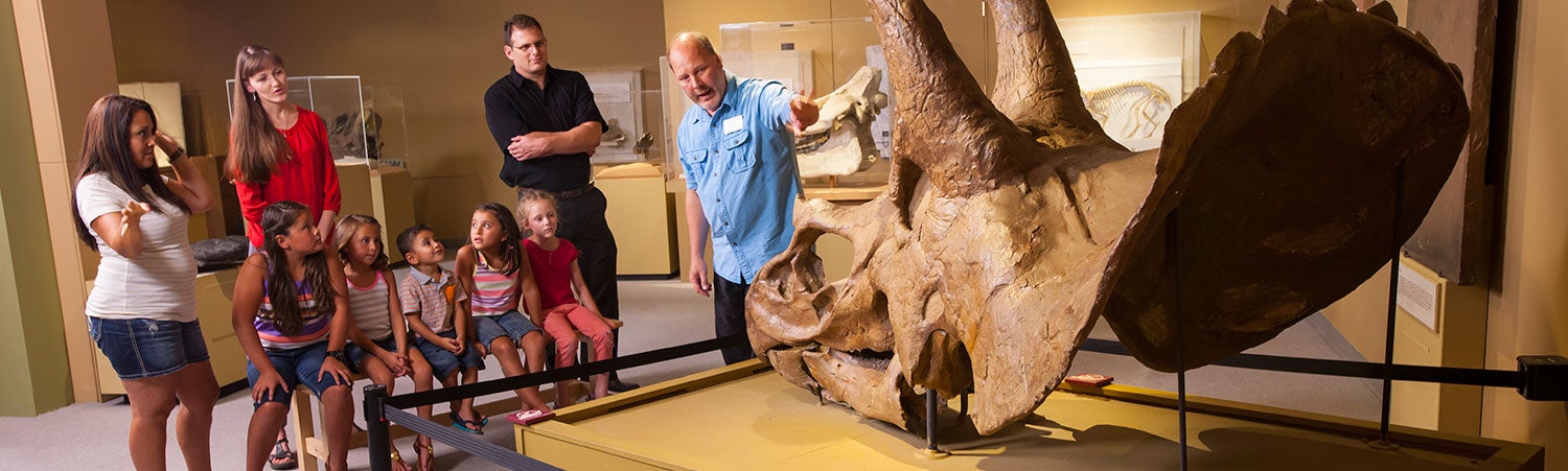 People viewing a Triceratops skull