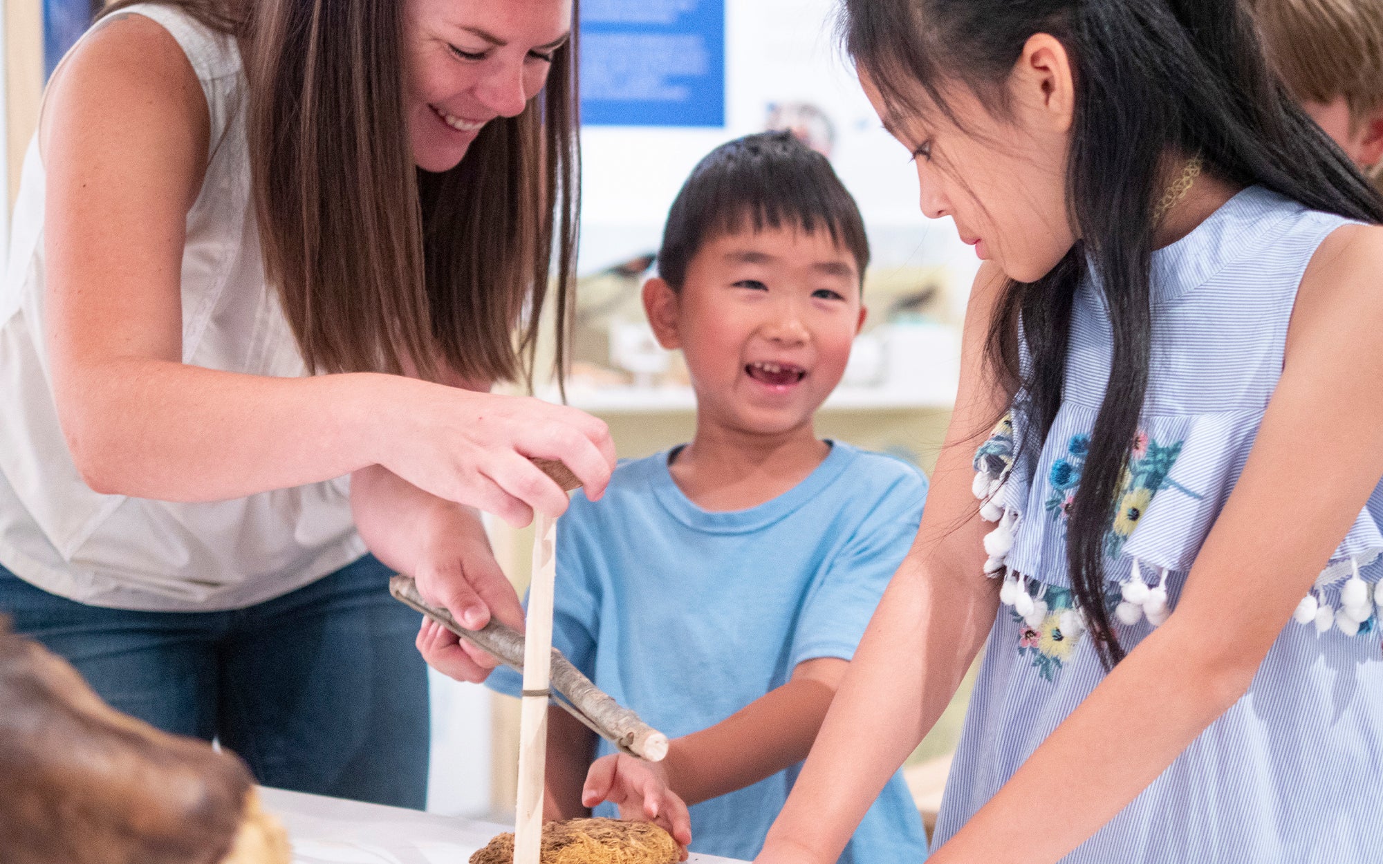 Volunteer with the Museum | Museum of Natural History | University of ...