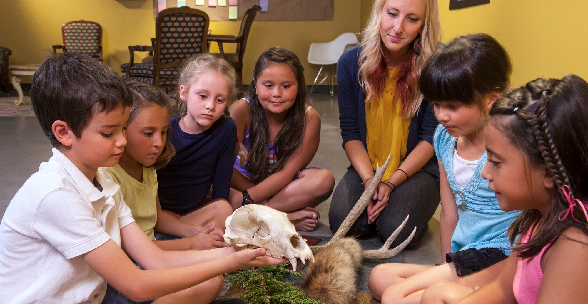 Kids looking at skull