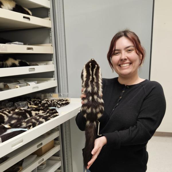 Patricia Marquez holding vole pelt in front of open collections cabinet