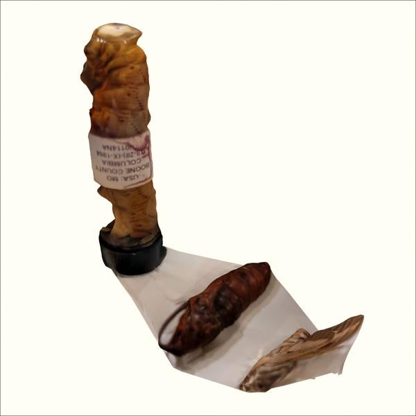 3D model of objects