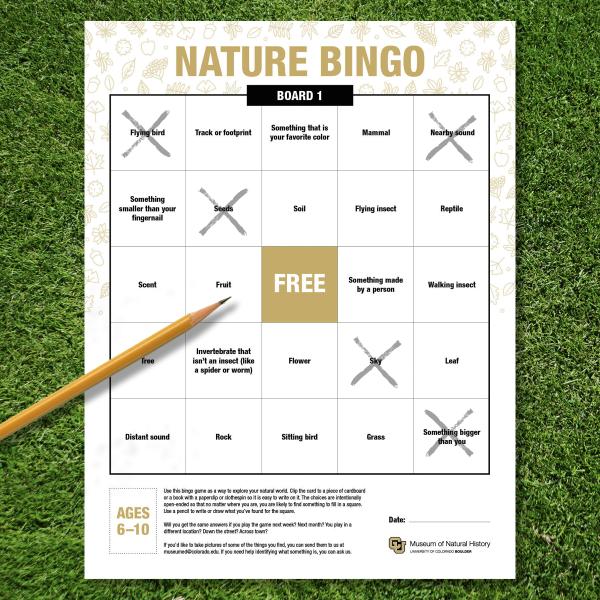 Bingo board game