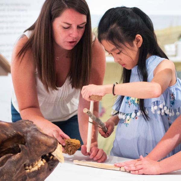 adult showing child fossil