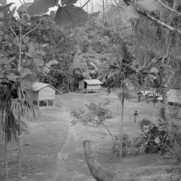 Two huts in a grassy area surrounded by lush vegetation.