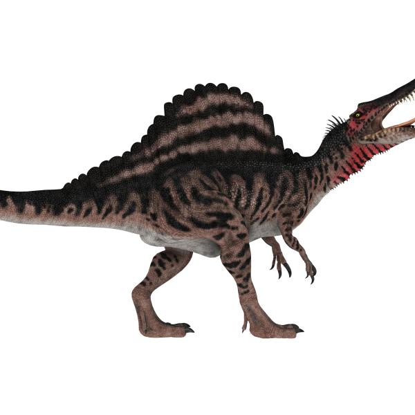Spinosaurus