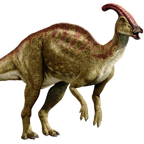 Picture of a Duckbill dinosaur