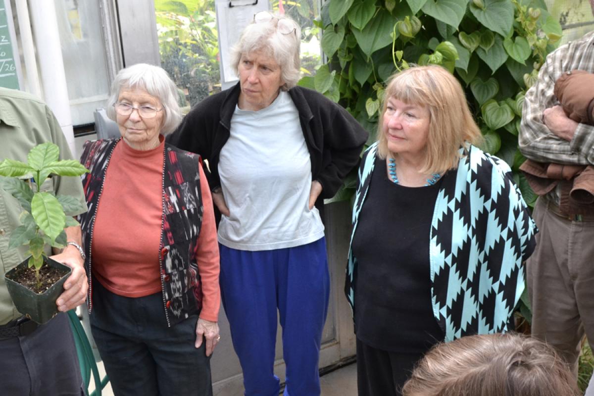 adults at CU Greenhouse