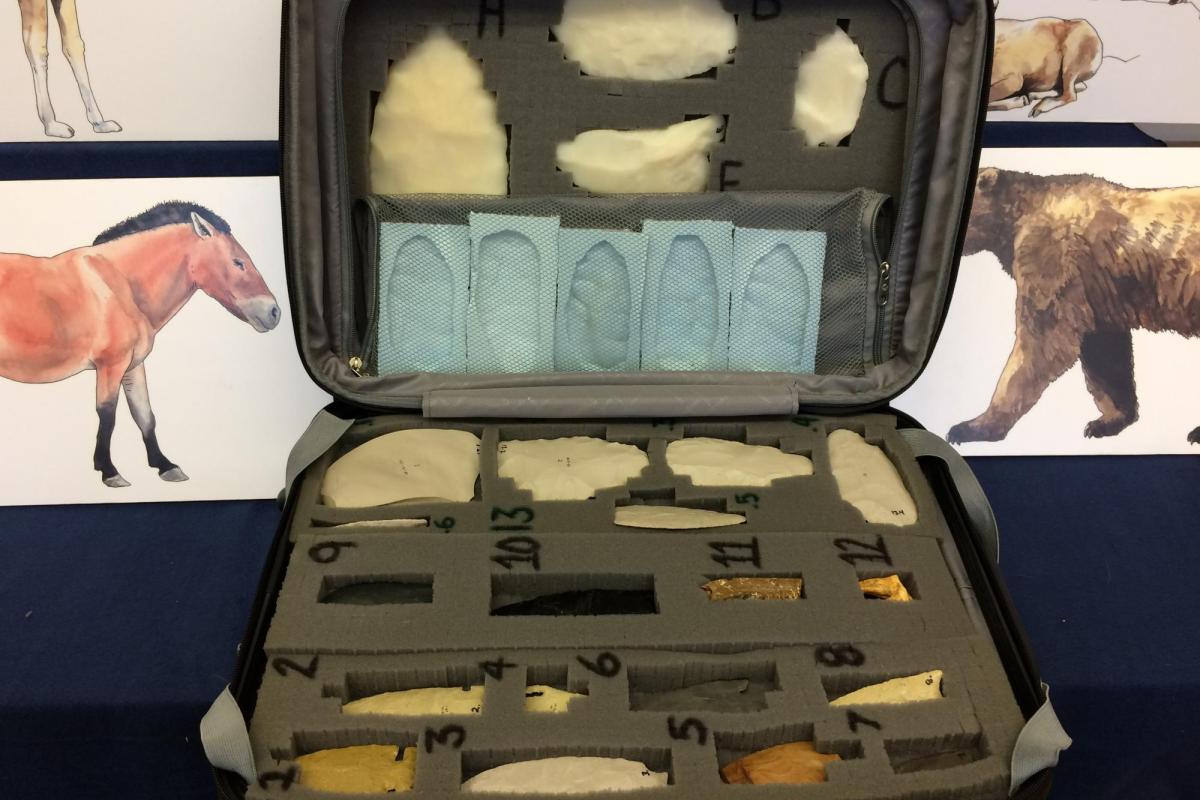 Ancient Life Kit