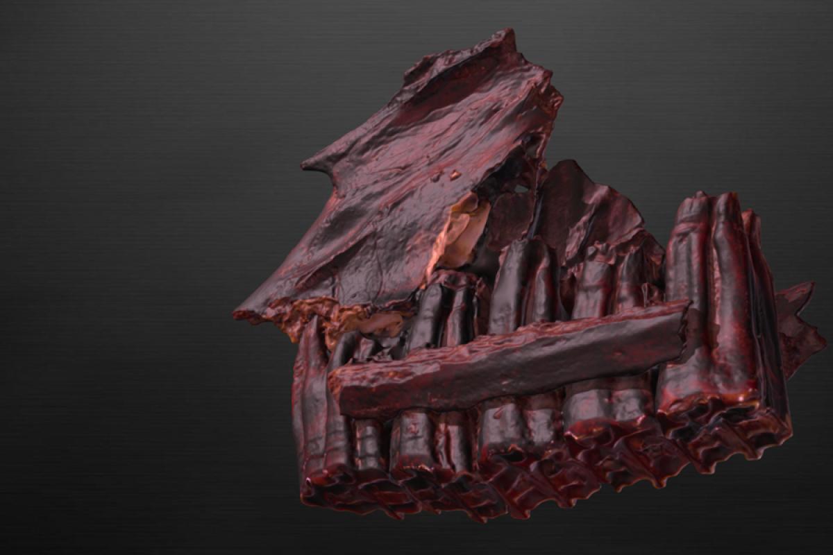 skull fragment