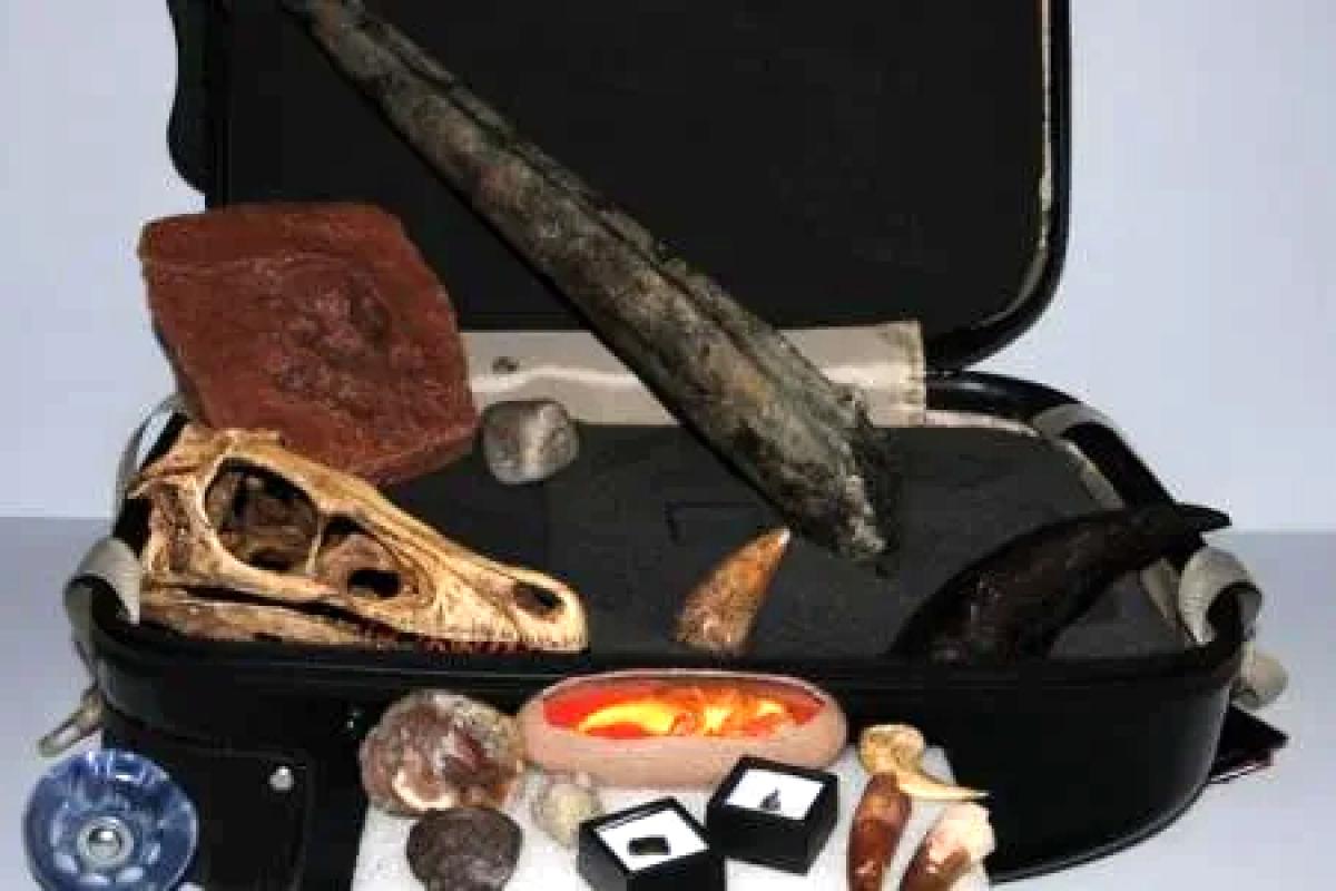 kit with dinosaur skull and tools