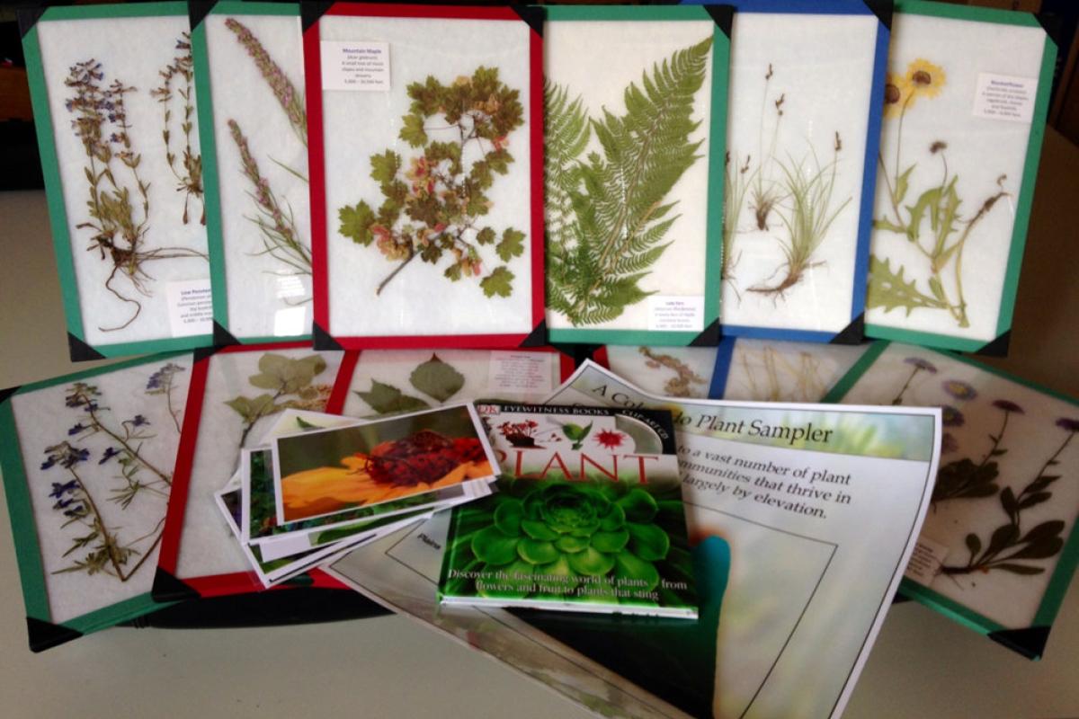 Plant outreach kit