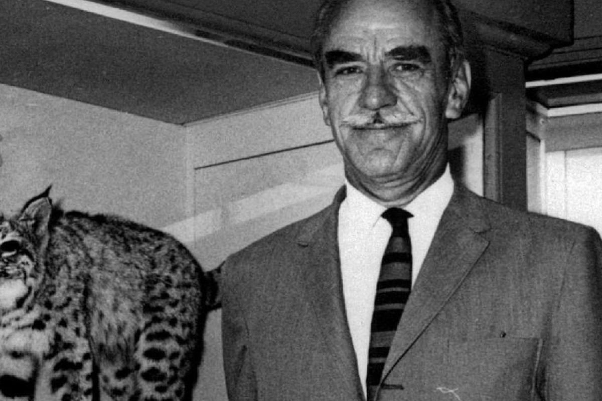 HIstorical photo of Hugo Rodeck standing in front of exhibit with stuffed bobcat