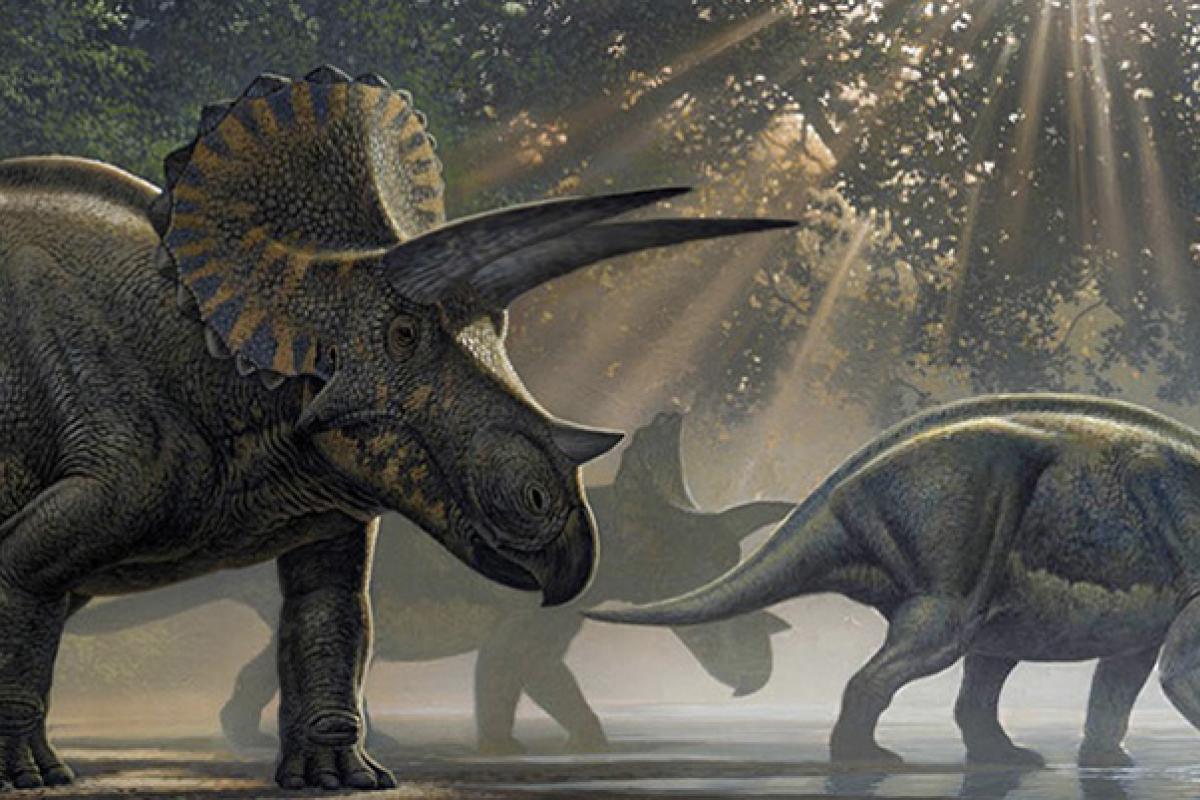 Artist rendering of Triceratops walking in jungle