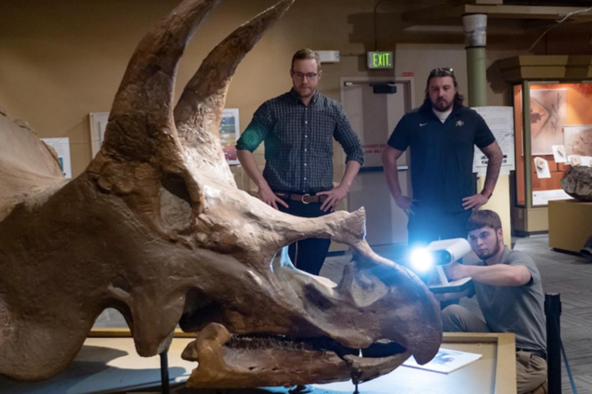 Students and professor 3D scanning triceratops skull in Paleontology Hall