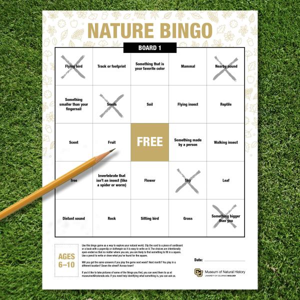 bingo card with pencil