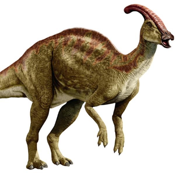 Picture of a Duckbill dinosaur