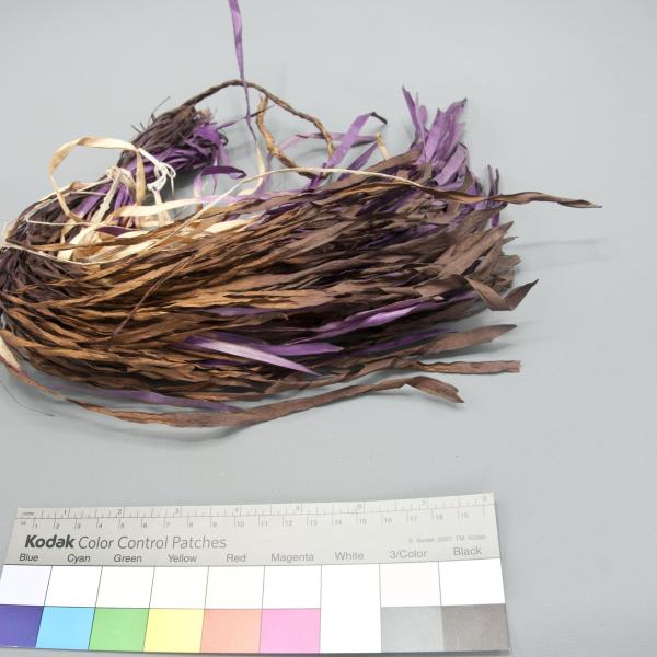 long purple and orange plant fibers tied together at one end.