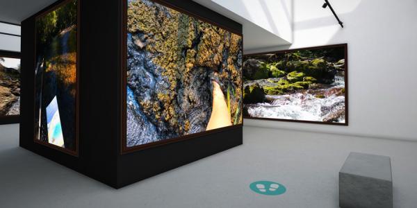 Virtual museum environment with images hanging on walls