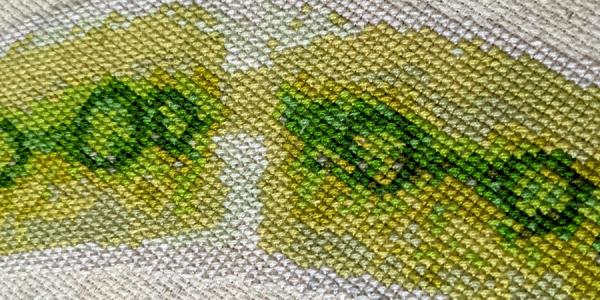 Embroidery with green algae shapes