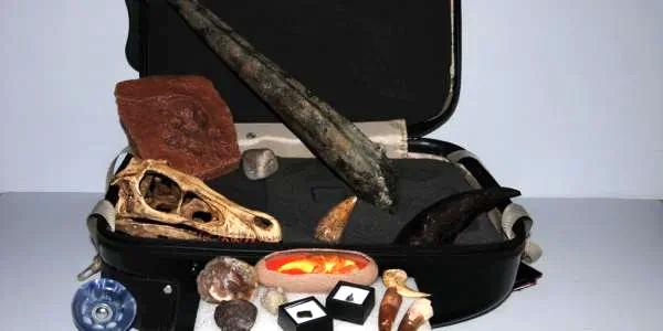kit with dinosaur skull and tools