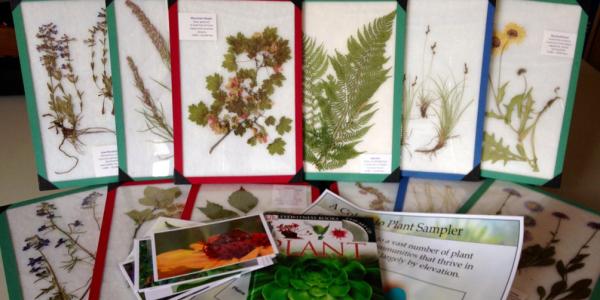 Plant outreach kit