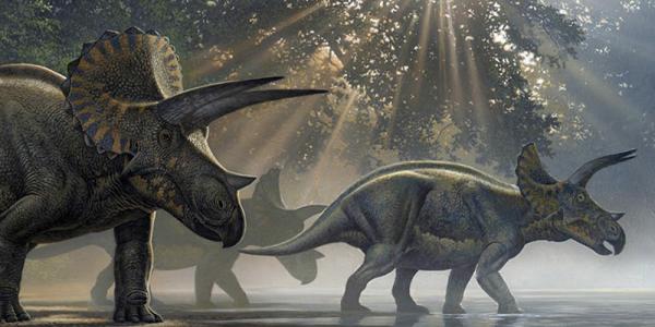 Artist rendering of Triceratops walking in jungle