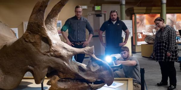 Students and professor 3D scanning triceratops skull in Paleontology Hall