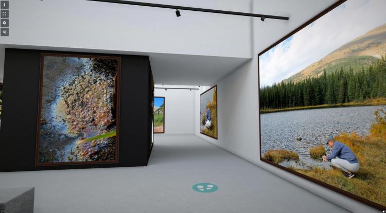 Virtual museum environment with images hanging on walls