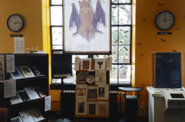 Bat Exhibit in Altec
